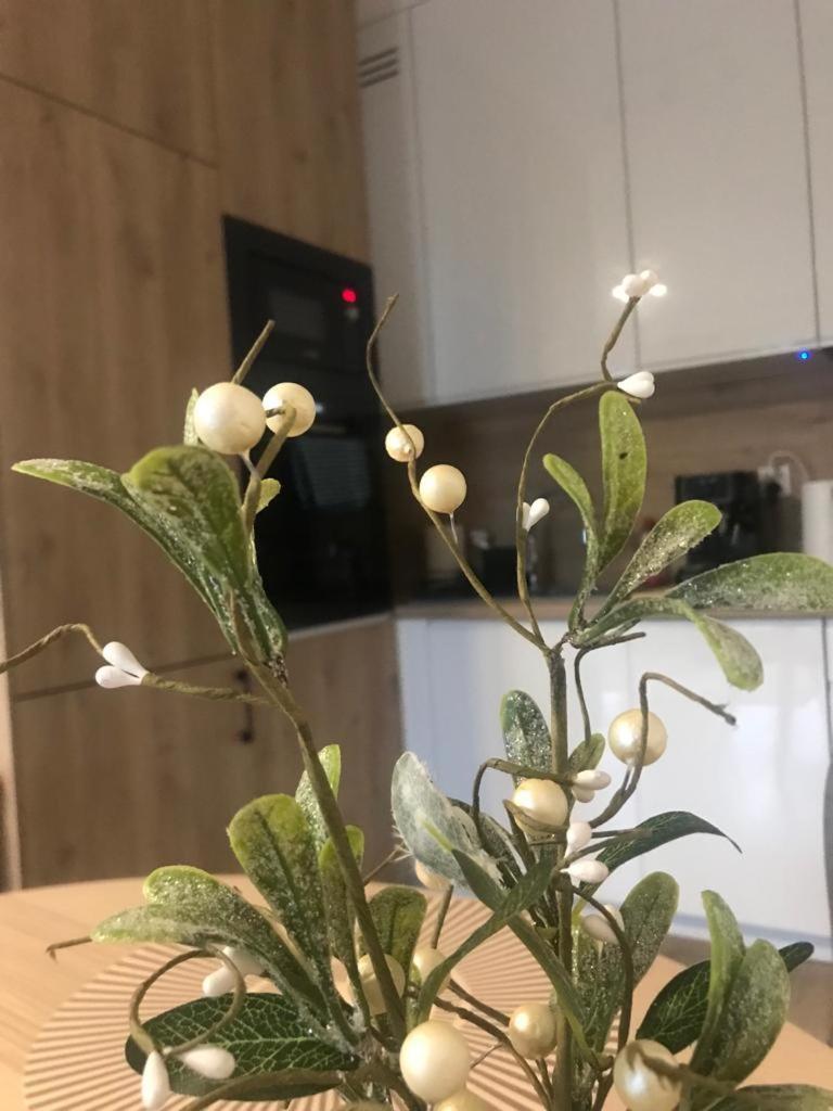 Apartament Kameralis Old Town - Klimatyzacja - Balkon - Winda إيبلاغ المظهر الخارجي الصورة